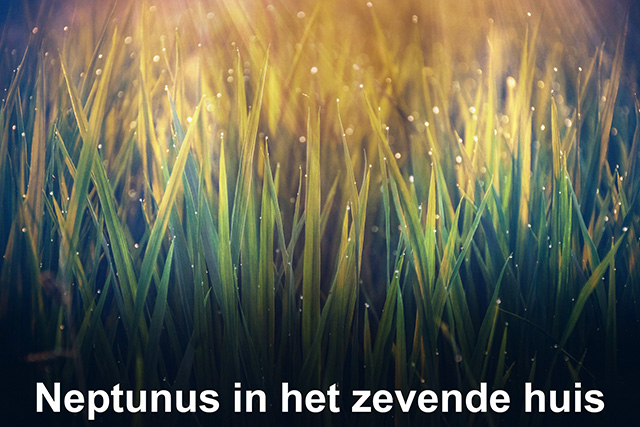 07 Neptunus in het zevende huis