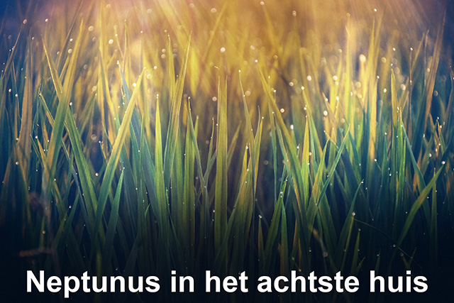 08 Neptunus in het achtste huis