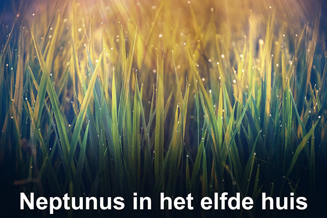 11 Neptunus in het elfde huis