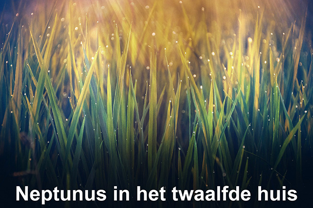 12 Neptunus in het twaalfde huis