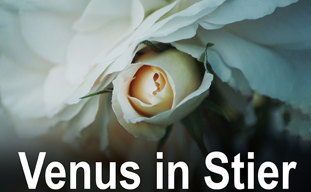 02 Venus in Stier