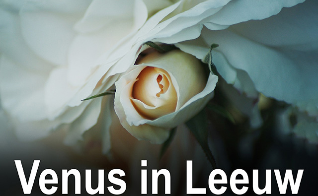 05 Venus in Leeuw