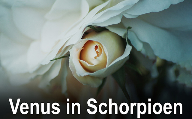 08 Venus in Schorpioen