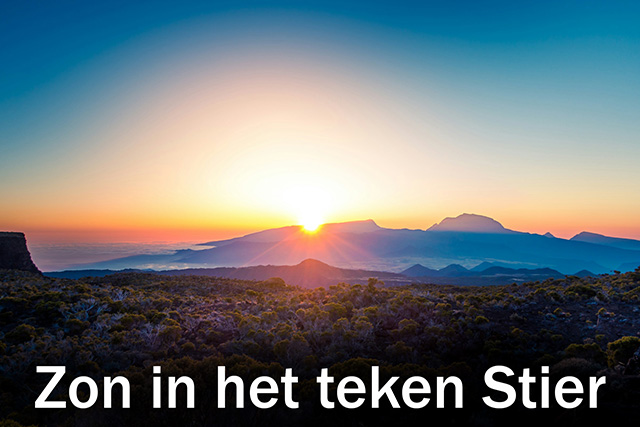 02 Zon in het teken Stier