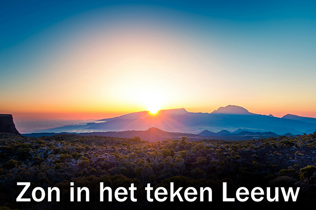 05 Zon in het teken Leeuw