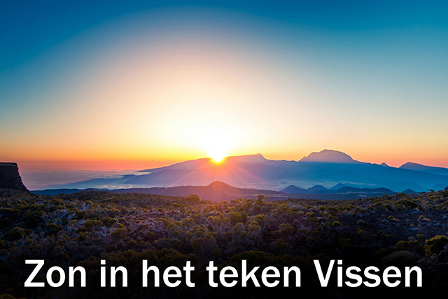 12 Zon in het teken Vissen