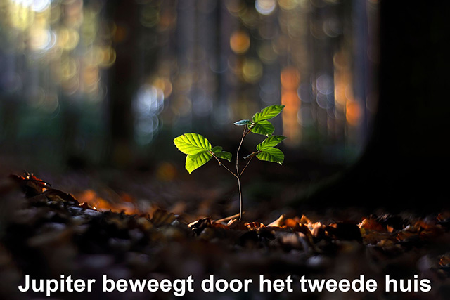02 Jupiter beweegt door het tweede huis
