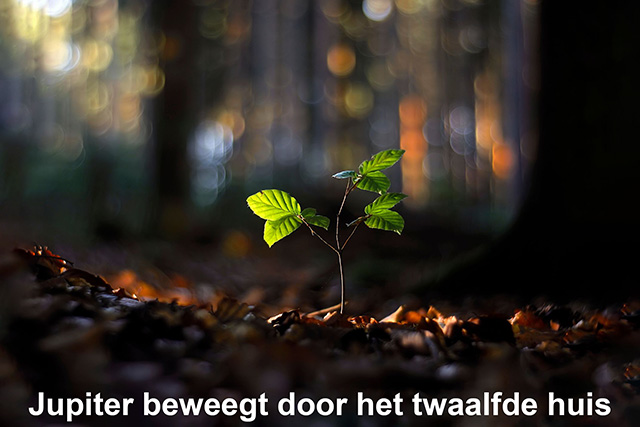 12 Jupiter beweegt door het twaalfde huis